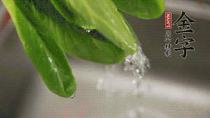 燒一鍋開水，滴一點(diǎn)油，水開后汆燙青菜至斷生即可。