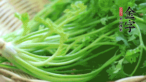 挑選鮮嫩的香菜，洗干凈后，處理成小段。